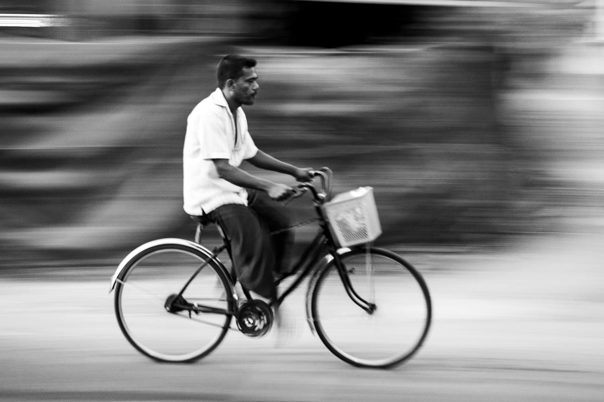 Traveller, Sri Lanka 2014