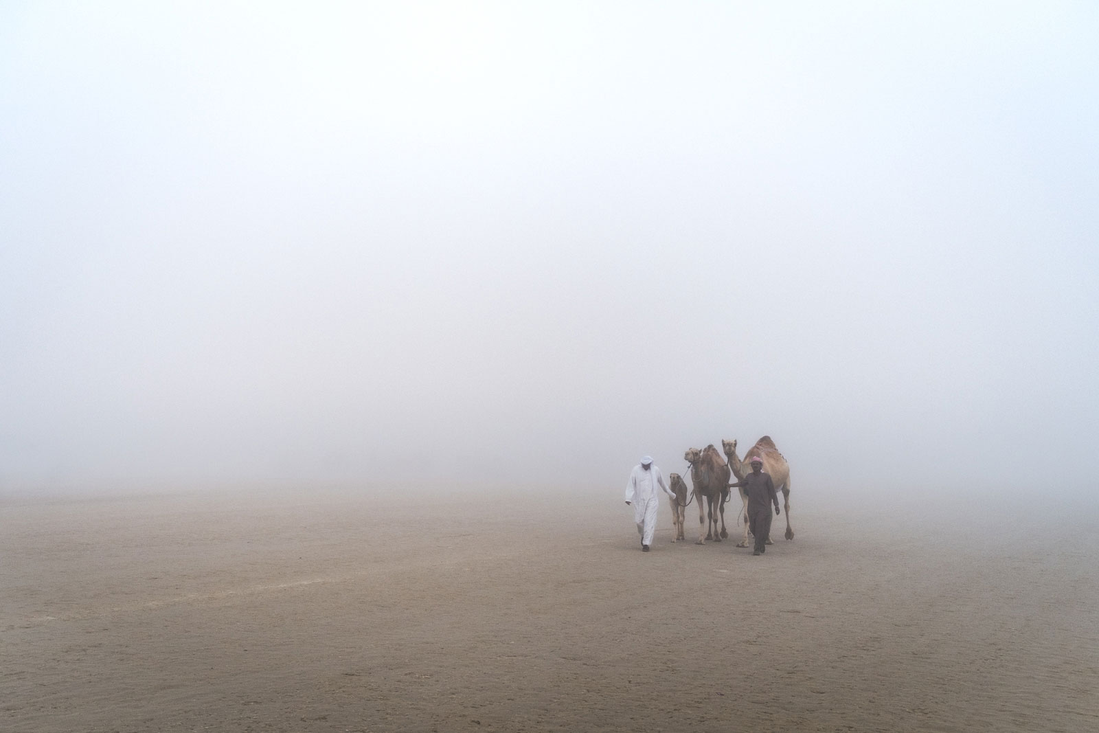 Coming from the desert, Photo by Milo | Photographer