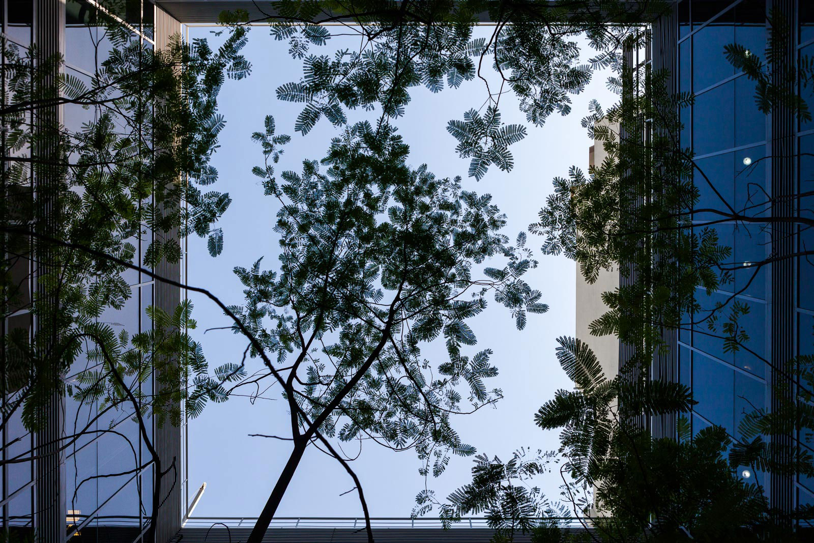 Court Business Bay, Photo by Milo | Photographer