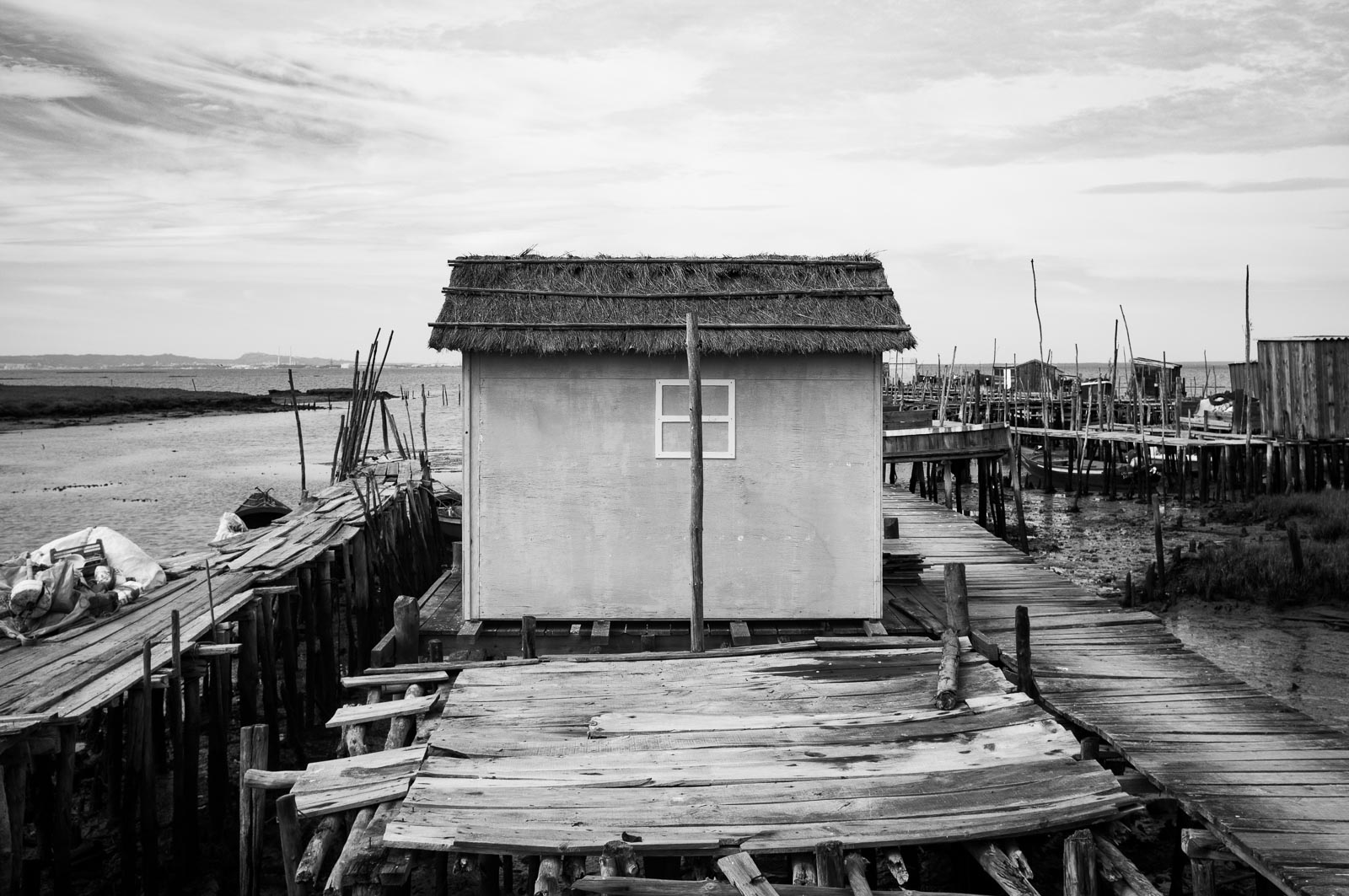 Square, Photo by Milo | Photographer