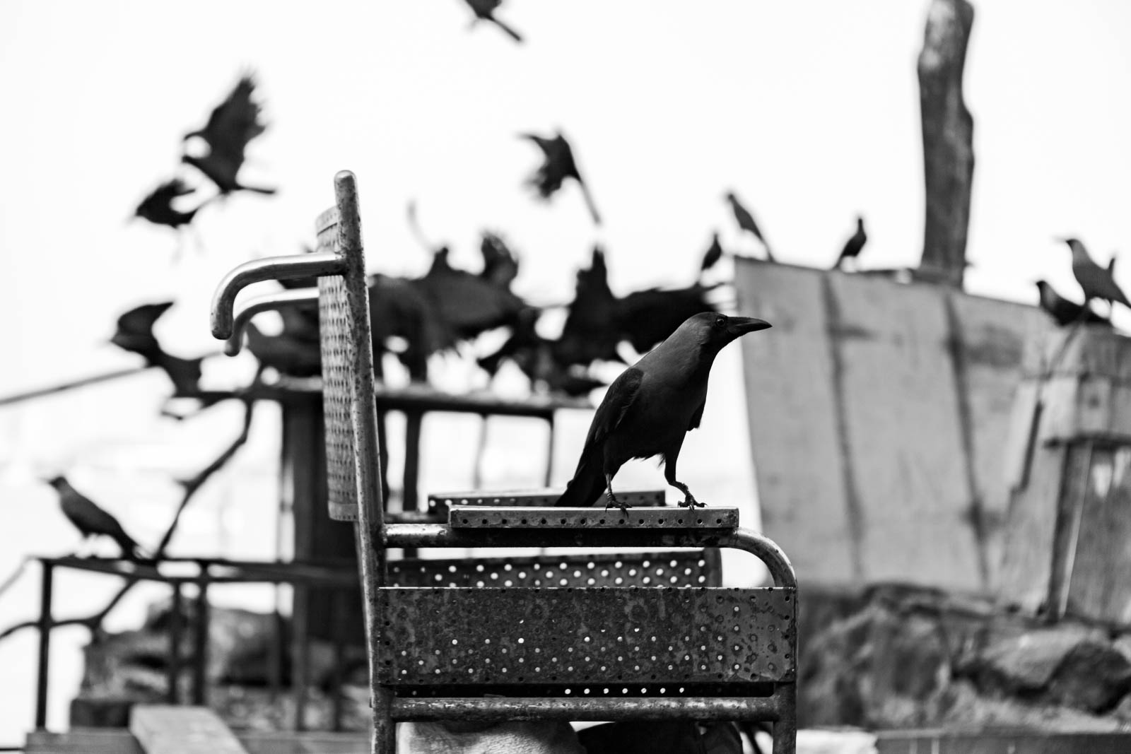 mumbai 20, Photo by Milo | Photographer