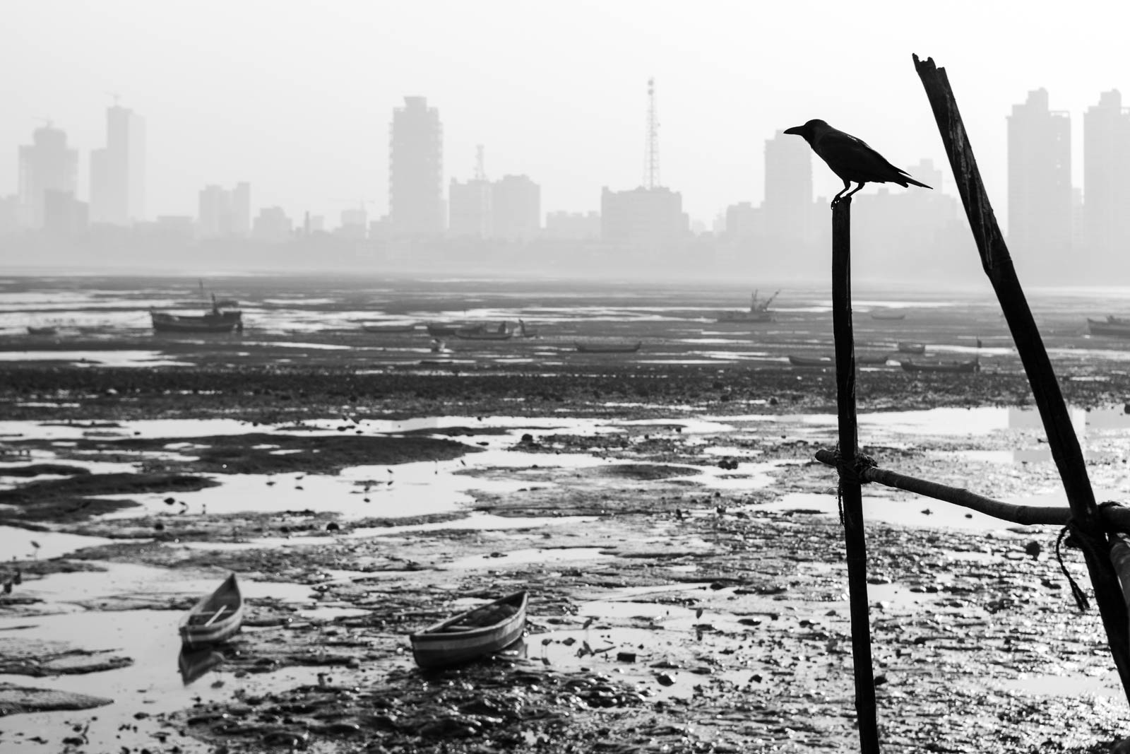 mumbai 14, Photo by Milo | Photographer