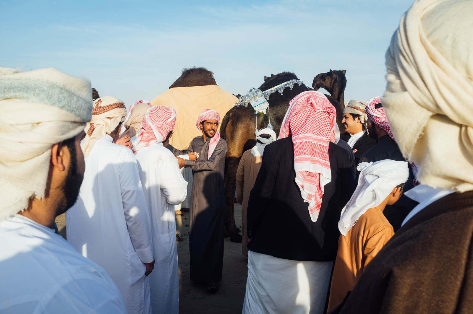 Camel Beauty 06, Photo by Milo | Photographer