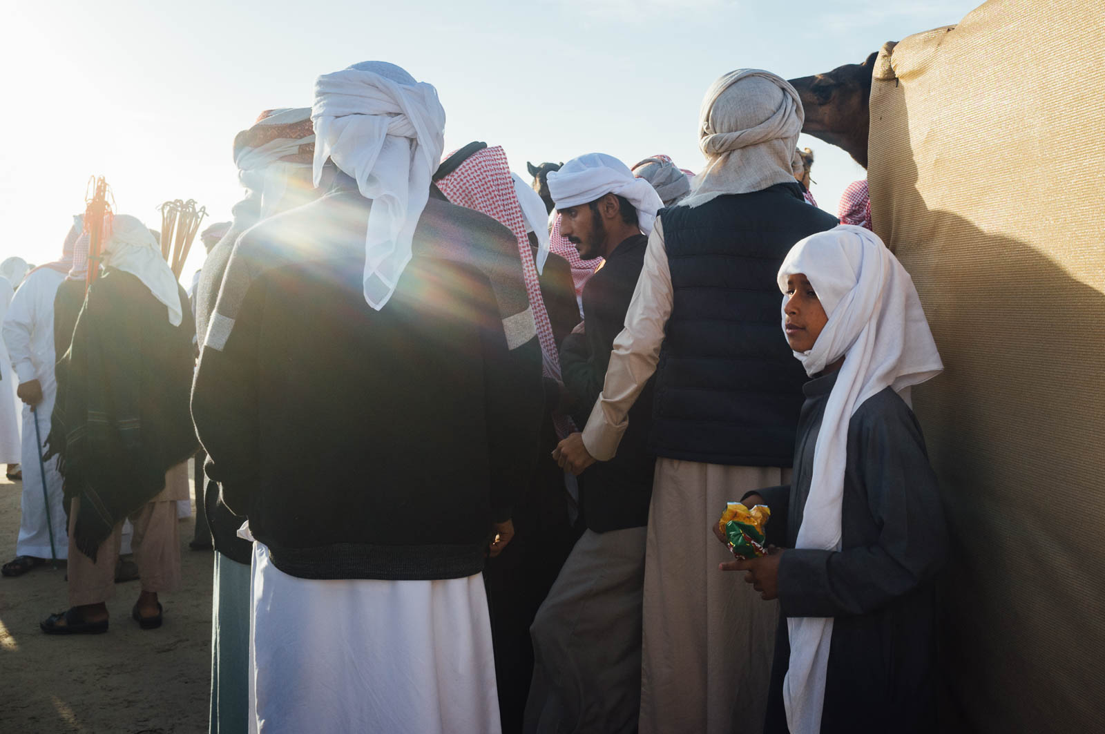 Camel Beauty 09, Photo by Milo | Photographer