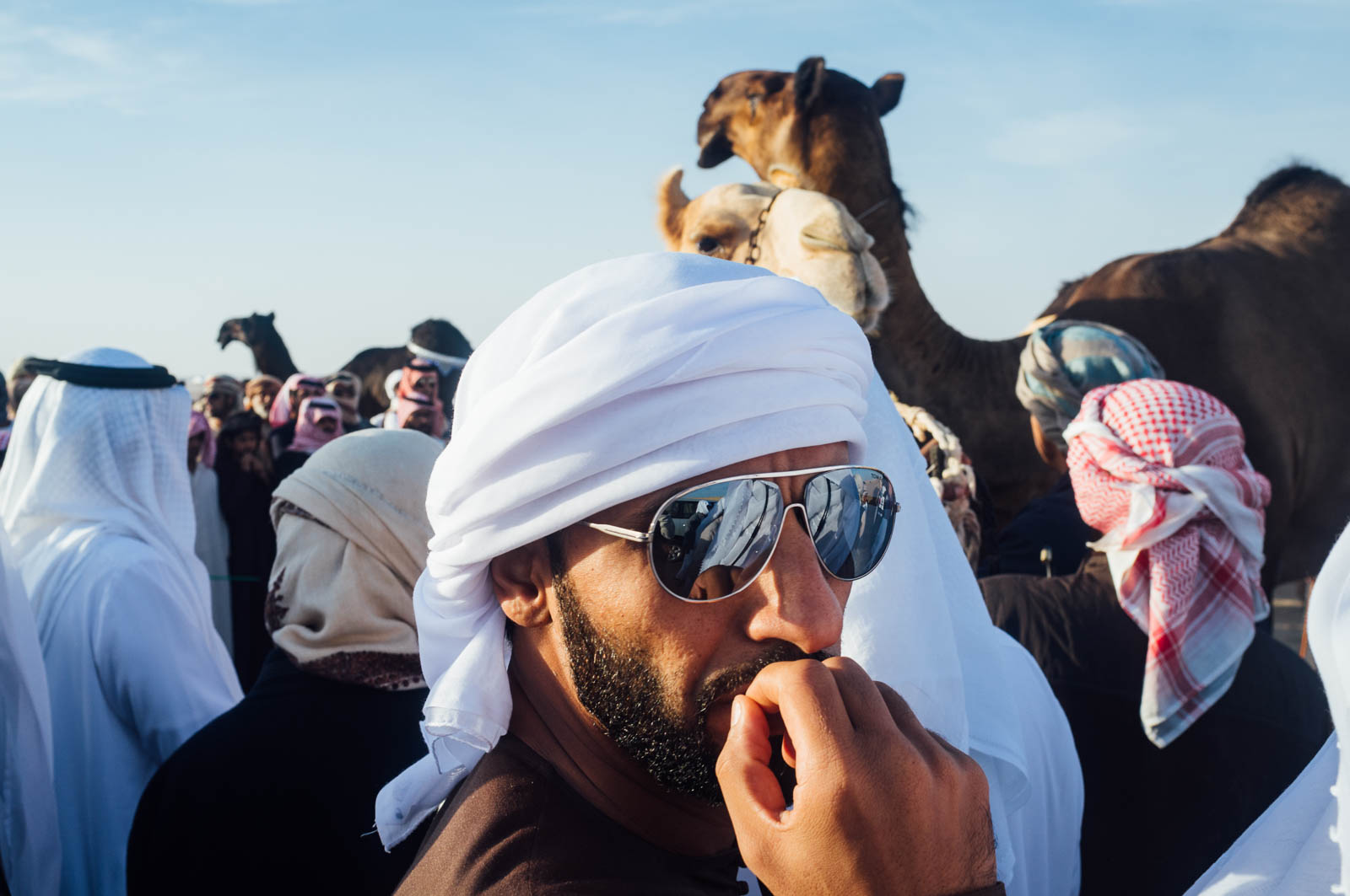 Camel Beauty 10, Photo by Milo | Photographer