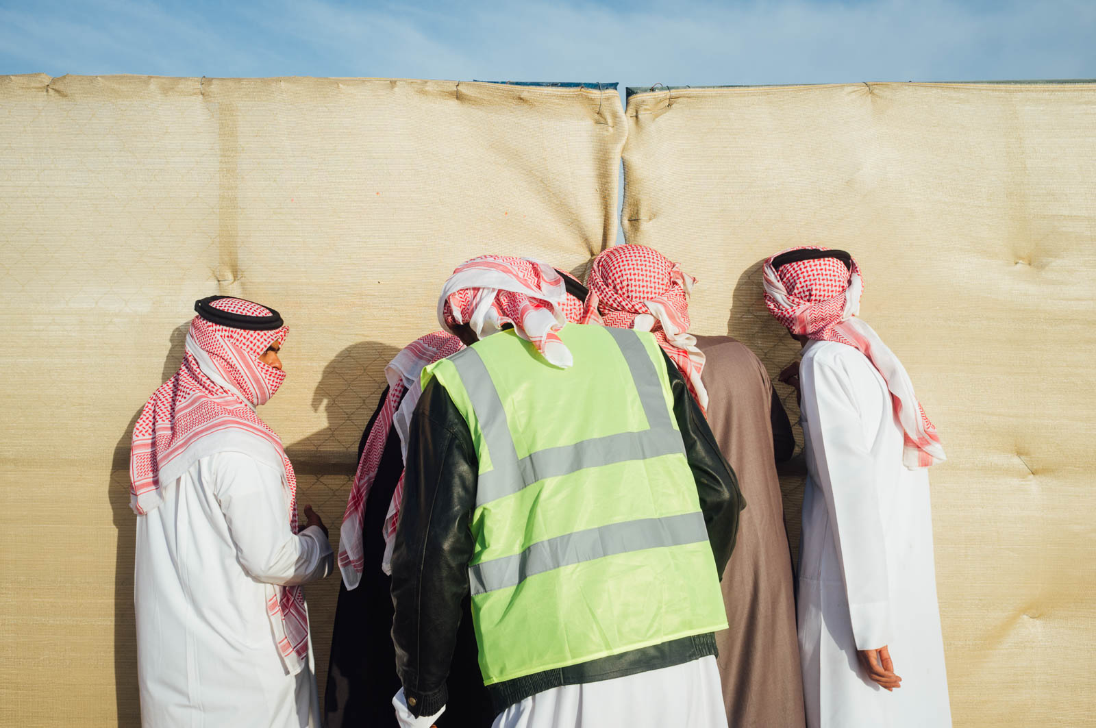 Camel Beauty 15, Photo by Milo | Photographer
