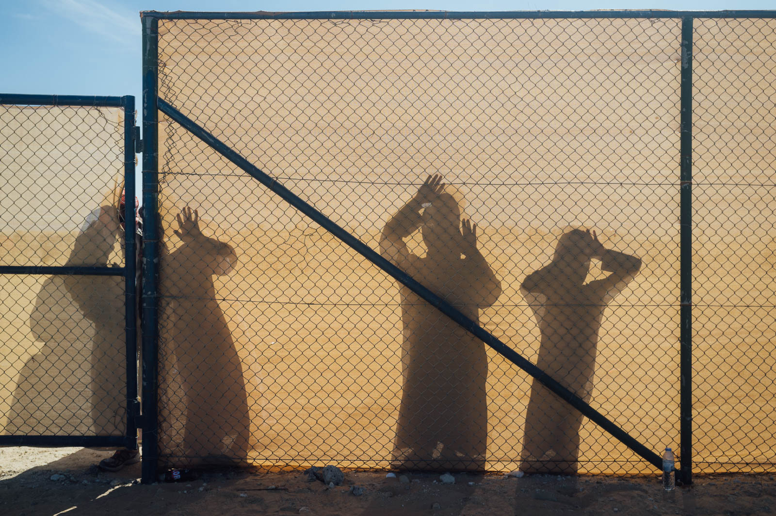 Camel Beauty 17, Photo by Milo | Photographer