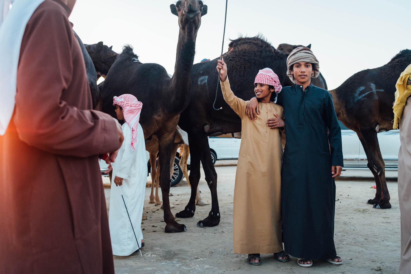 Camel Beauty 21, Photo by Milo | Photographer
