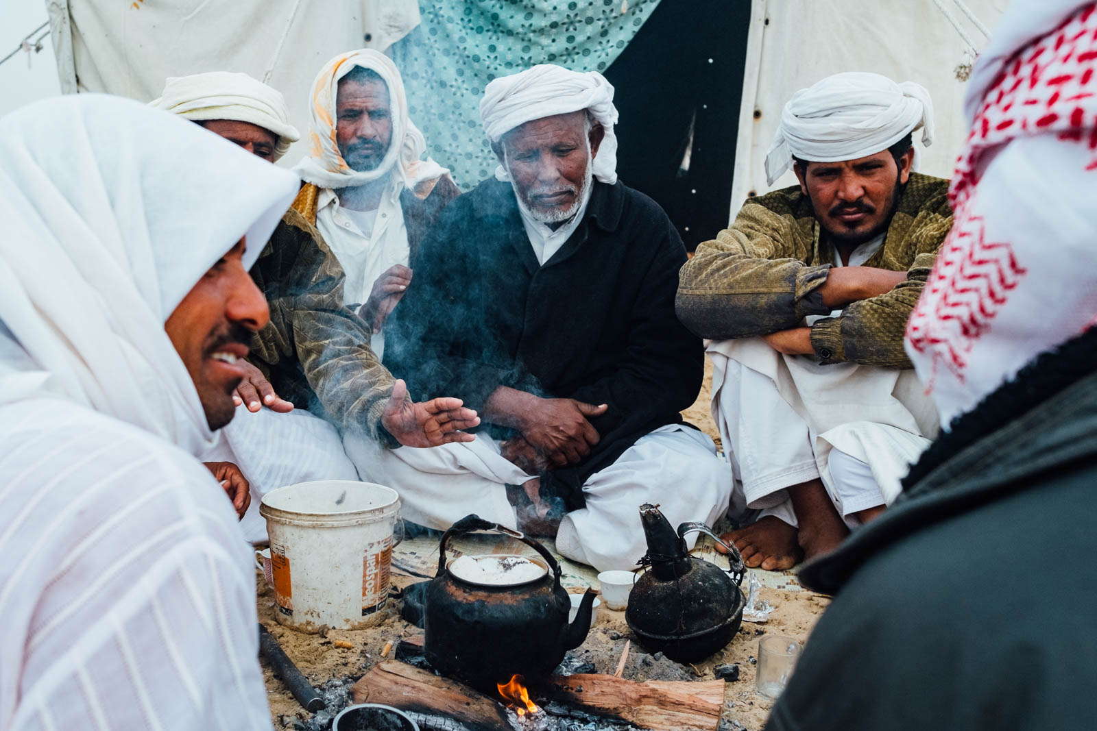 Camel Beauty 23, Photo by Milo | Photographer