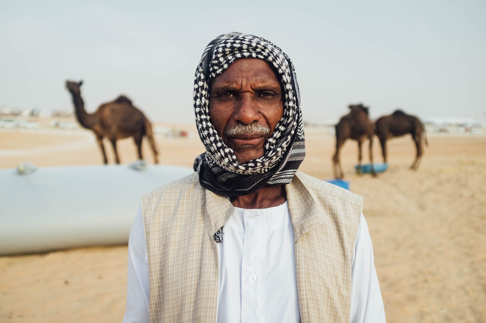 Camel Beauty 18, Photo by Milo | Photographer