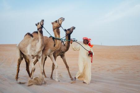 Camel Beauty 04