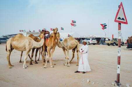 Camel Beauty 05