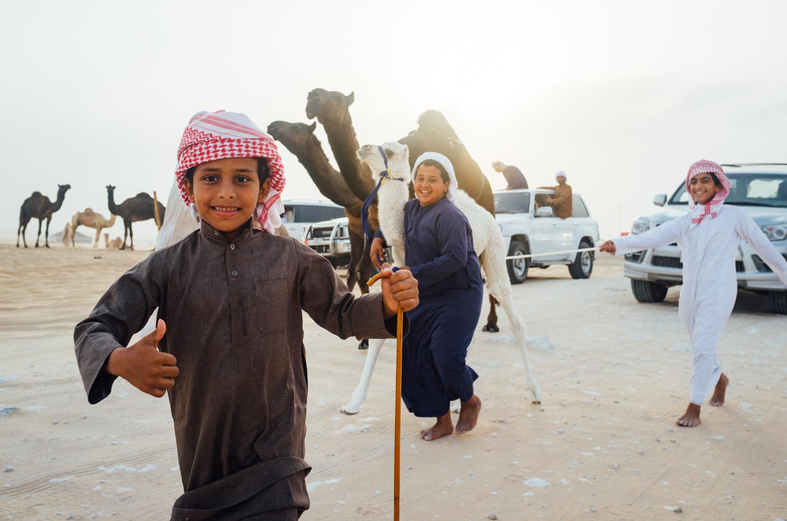 Camel Beauty 07, Photo by Milo | Photographer