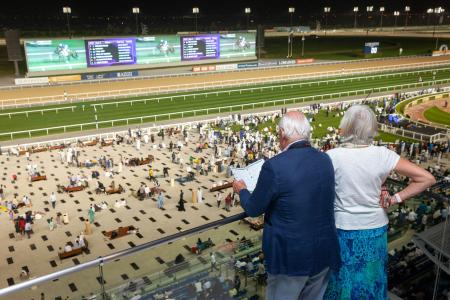 Meydan Horse Racing