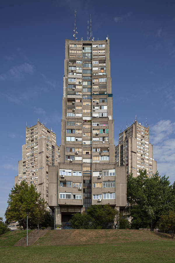 Rudo-02, Photo by Milo | Photographer