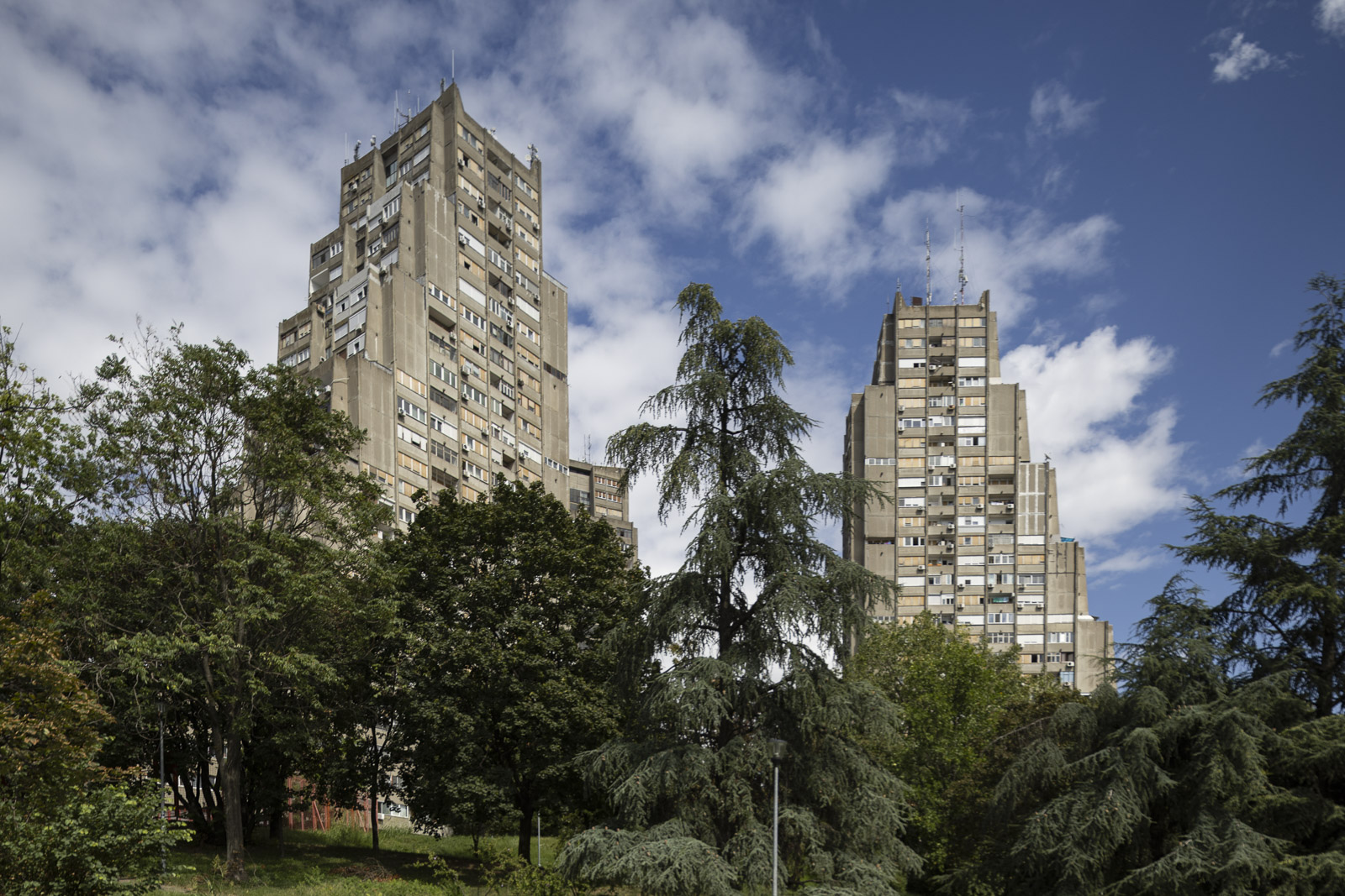 Rudo-01, Photo by Milo | Photographer