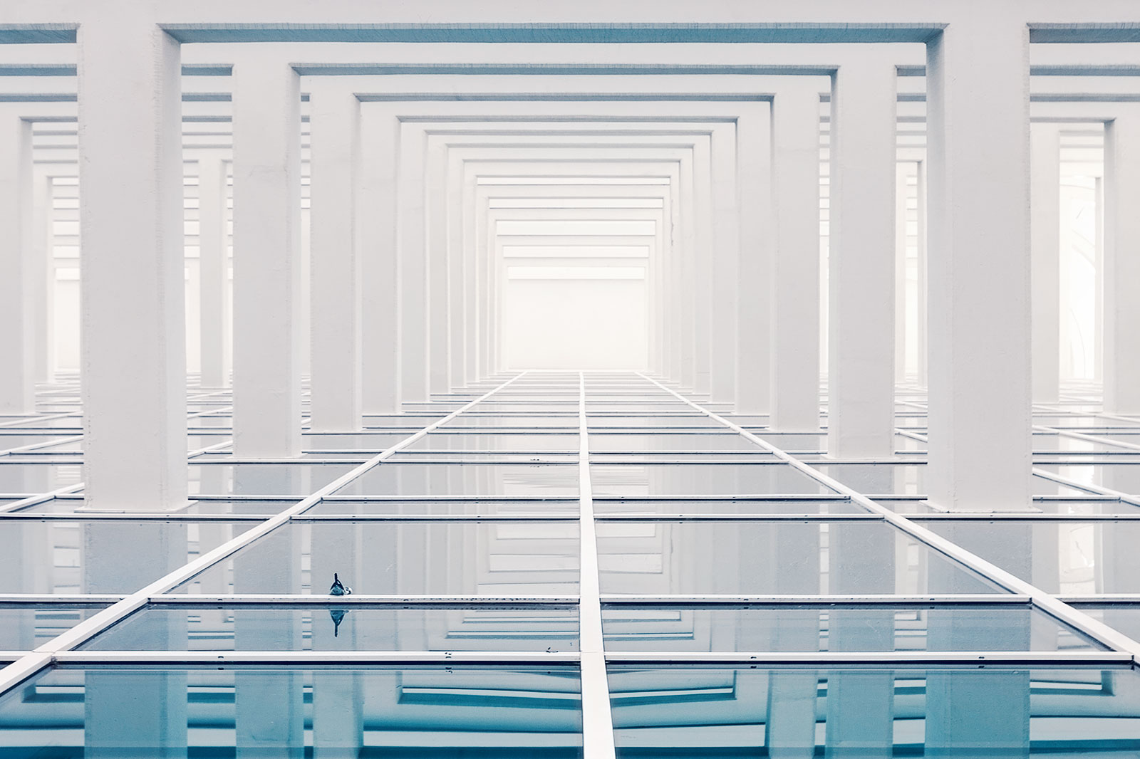 Feather perspective, Photo by Milo | Photographer